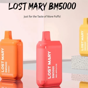 Lost Mary BM5000 Disposable Kit 1 qqqq
